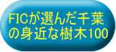 おすすめの森５０
